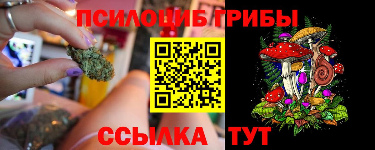Галлюциногенные грибы Cubensis  Вход с VPN  Асино 